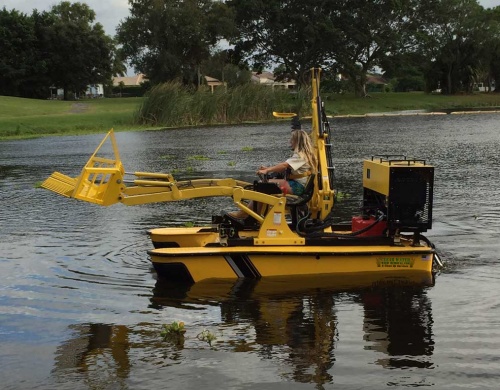 best-weed-control-lakes-usa