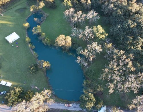 pond-weeds-removal-near-me