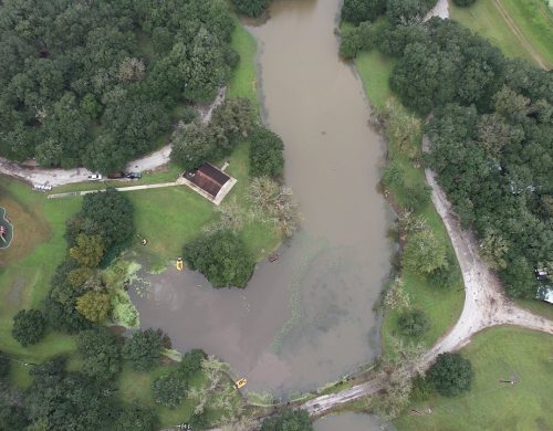 pond-weeds-removal-near-me4