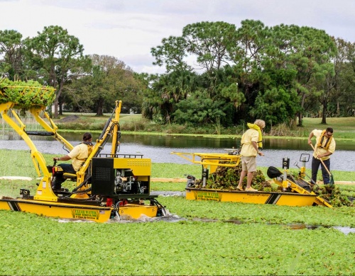 weed-control-ponds-lakes-