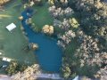pond-weeds-removal-near-me pond-weeds-removal-near-me