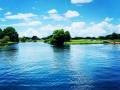 remove-pond-weeds-remove-lake-weeds-texas remove-pond-weeds-remove-lake-weeds-texas