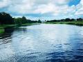 remove-pond-weeds-remove-lake-weeds-texas3 remove-pond-weeds-remove-lake-weeds-texas3