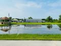 remove-pond-weeds-remove-lake-weeds-texas4 remove-pond-weeds-remove-lake-weeds-texas4